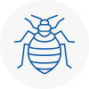 Bed Bug Extermination In Beswick